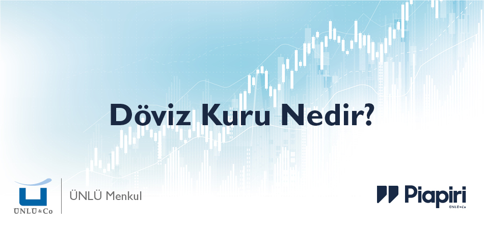 Döviz Kuru Nedir? Döviz Kuru Nedir?